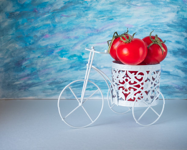 白色背景上的自行车形状的装饰白色播种机里的带有叶子的红色番茄图片下载