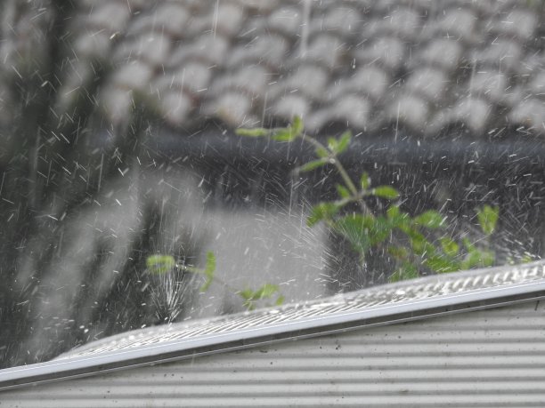 在下雨的一天图片下载