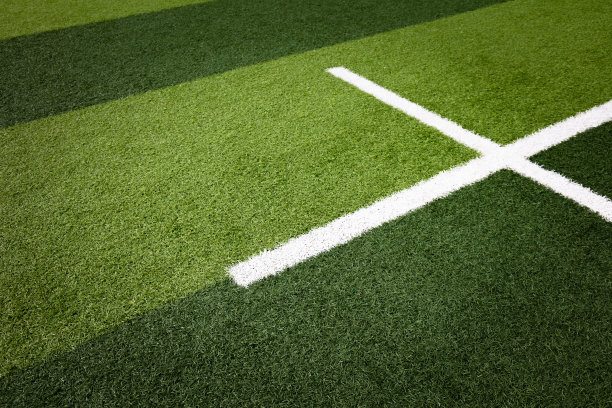从俯视图看，绿色足球场上的白色条纹图片下载