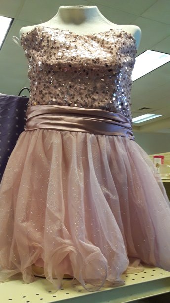 伴娘或舞会图片下载