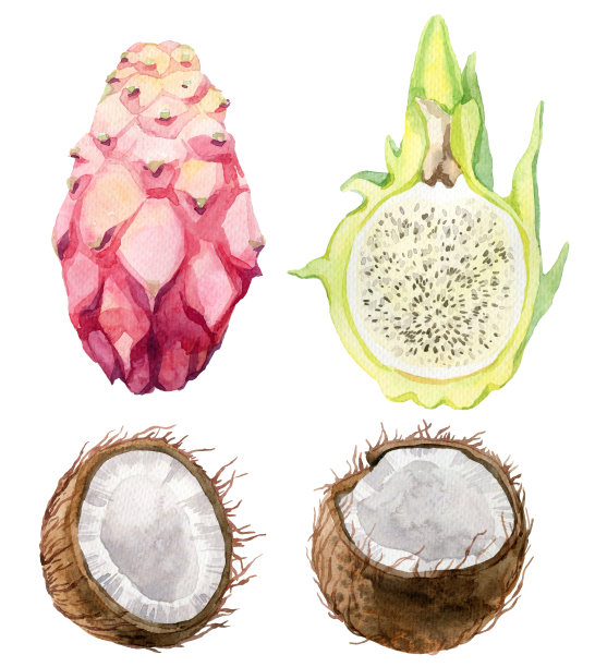 水彩套热带水果和异国情调的水果。图片下载