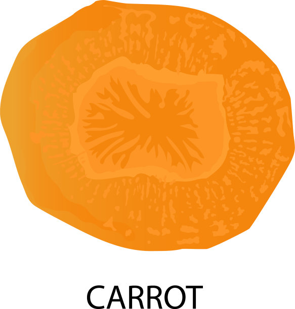 胡萝卜片有用蔬菜图片下载