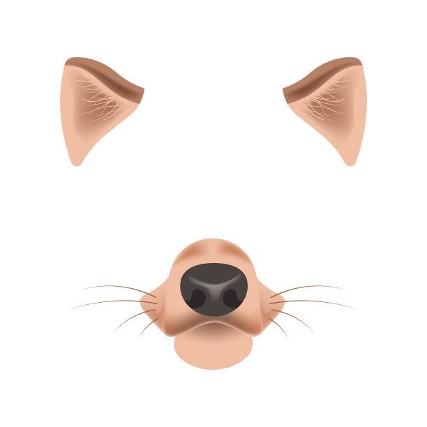 狗狗动物脸滤镜模板视频聊天照片图片下载