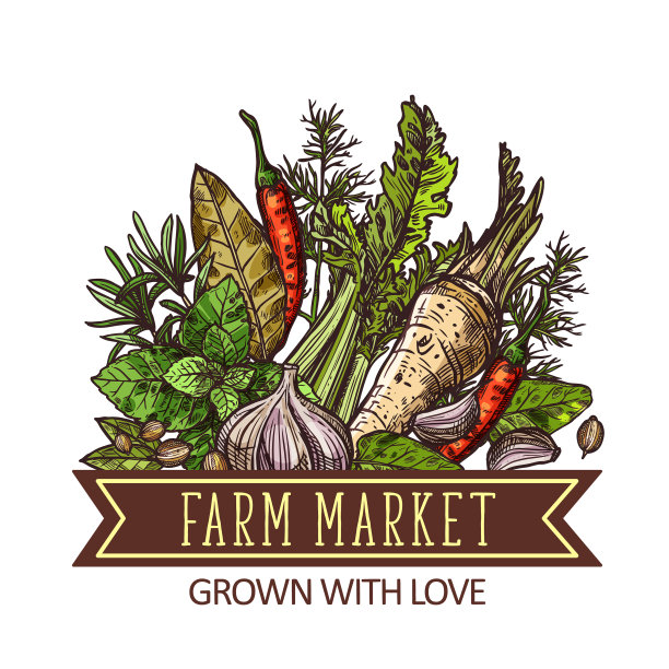 农贸市场的草药，香料和蔬菜图片下载