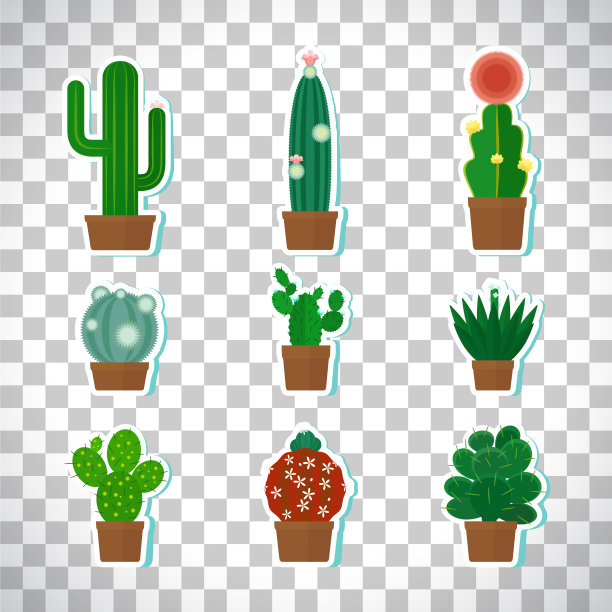 仙人掌图标设置在透明的背景图片下载