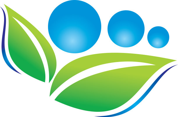 叶子和水图片下载