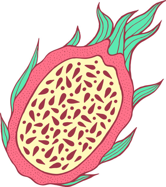 火龙果颜色孤立，热带和热带图片下载