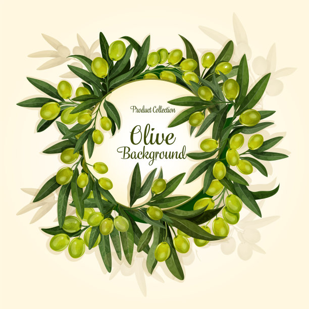 特级初榨橄榄油的橄榄枝图片下载