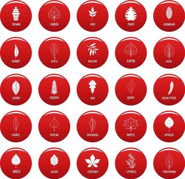 叶图标设置向量为红色图片下载