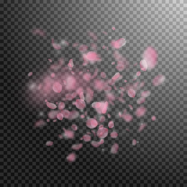 樱花花瓣飘落，浪漫的粉红色花朵图片下载