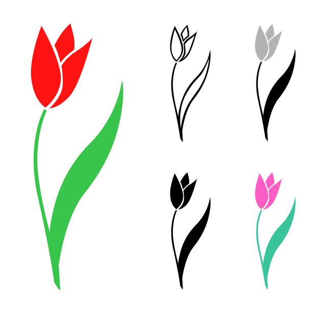 一组郁金香花图片下载