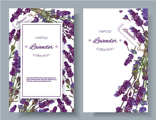 薰衣草花横幅图片下载