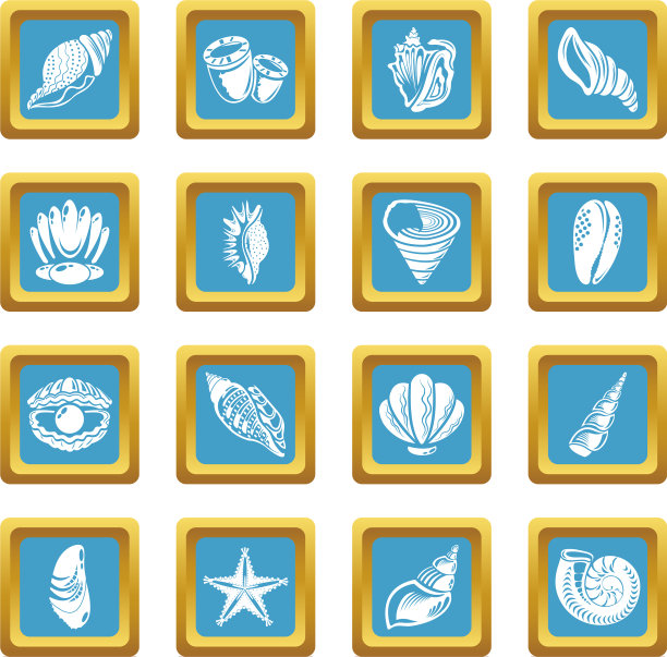 热带贝壳图标设置蓝宝石广场图片下载