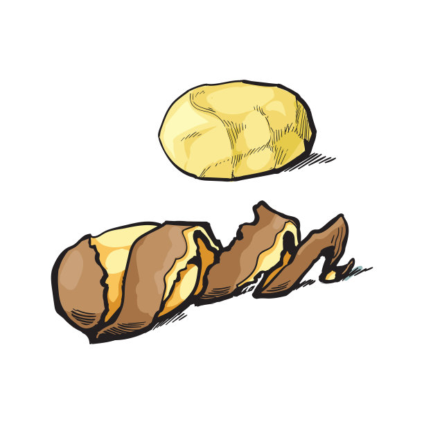 用螺旋剥皮的生土豆素描图片下载