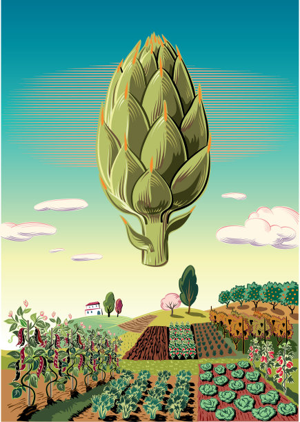 农业景观种植洋蓟图片下载