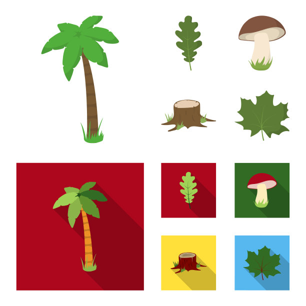 橡树叶蘑菇树桩枫树造林设置图片下载