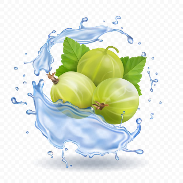 水里的醋栗与树叶溅在一起图片下载