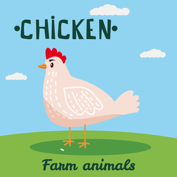 可爱的小鸡农场动物人物农场动物图片下载