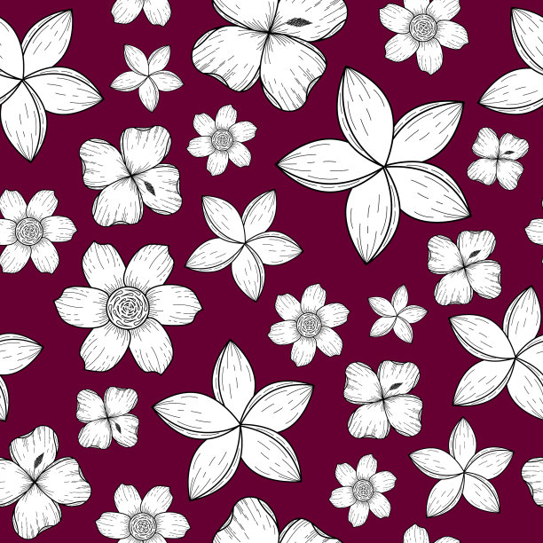 无缝图案与异国情调的花图片下载