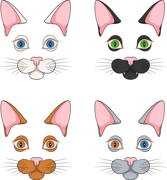 一套颜色与猫脸，口吻图片下载