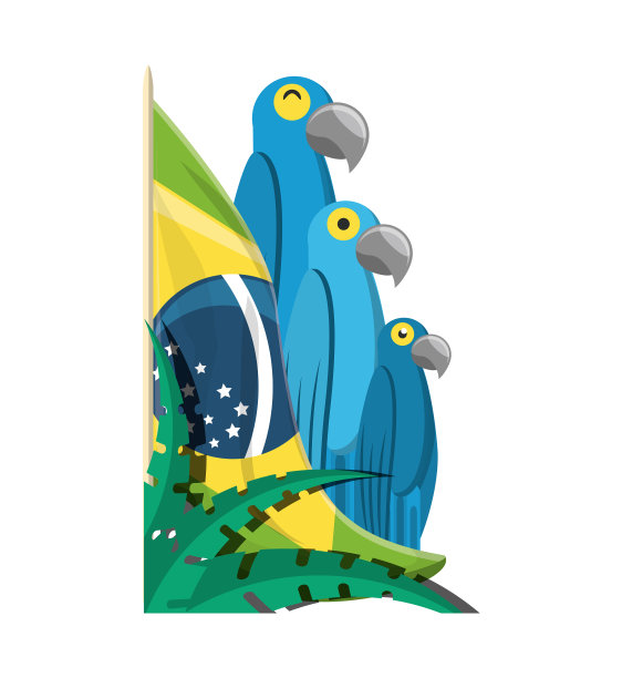 欢迎来到巴西设计图片下载