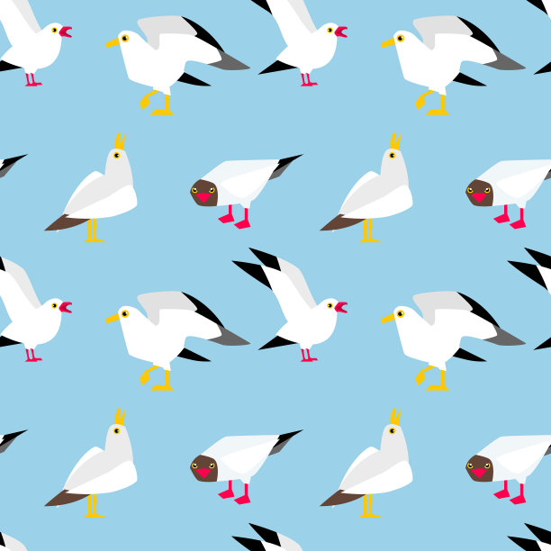 海鸥在天空中飞翔图片下载