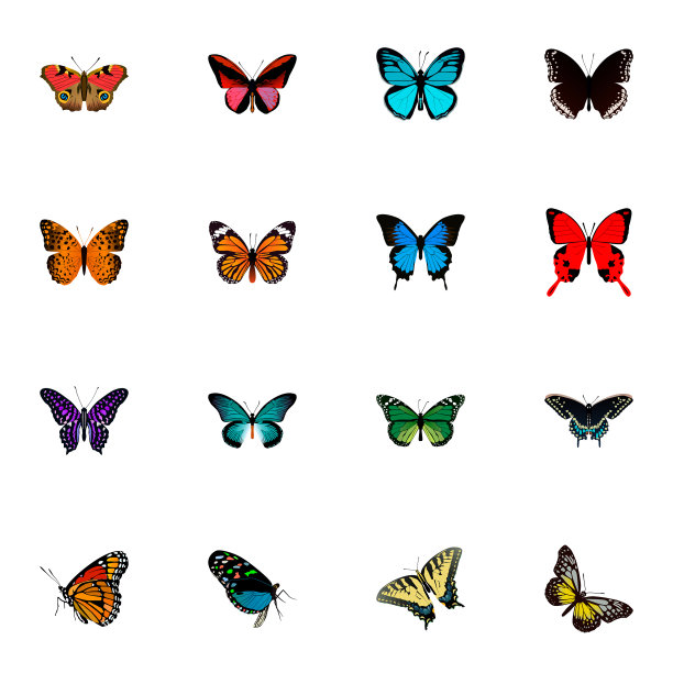 现实的美国乳草达纳斯图片下载