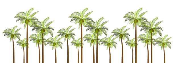 棕榈树为您的生意图片下载