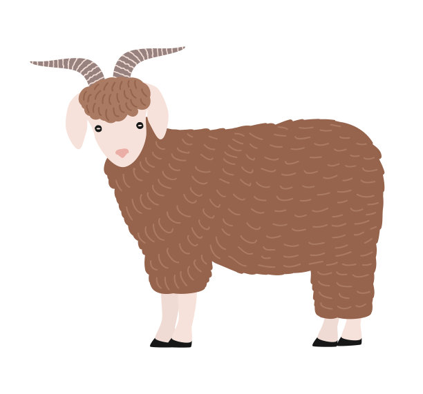 可爱的山羊孤立在白色的背景可爱图片下载