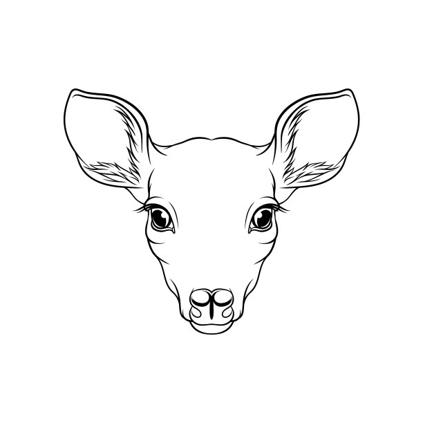 狍子鹿素描森林头像图片下载