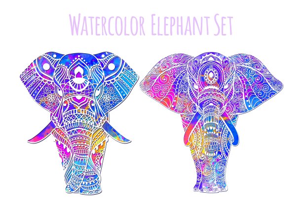 漂亮的卡片图片下载