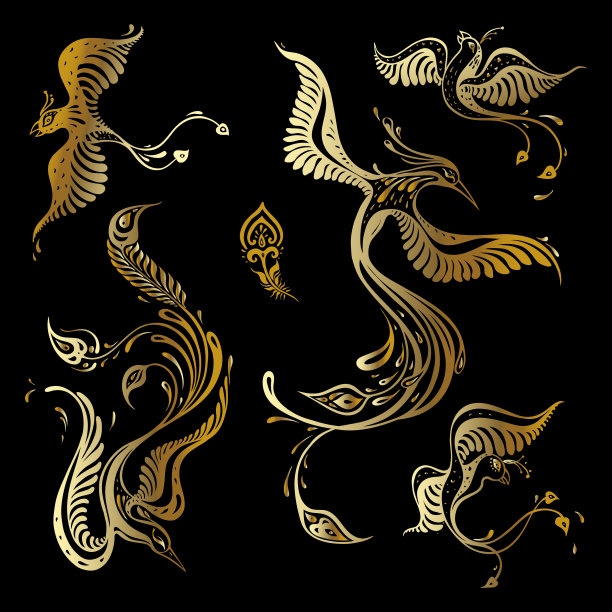 美丽的孔雀集图片下载