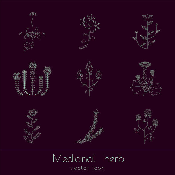 药草图标集图片下载