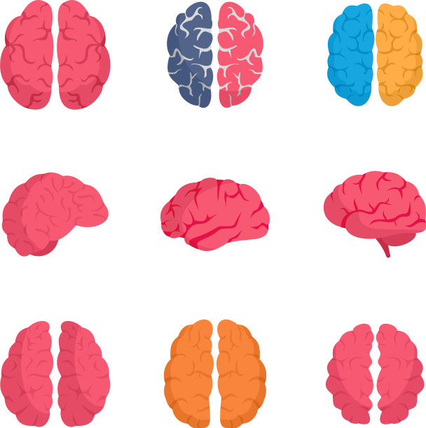 天才脑图标设置平面风格图片下载