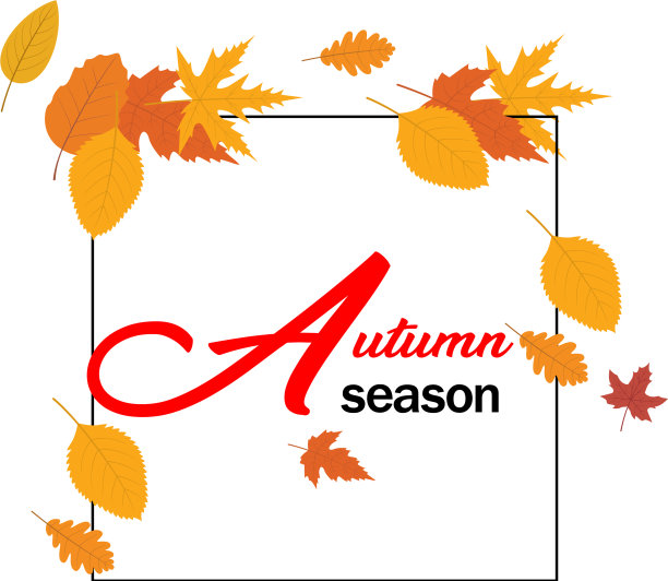 秋季橙黄秋叶方框ve图片下载
