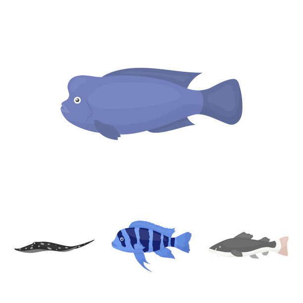 前萨西奇利德脑积木半叶松图片下载