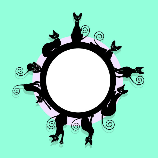 黑猫框架图片下载