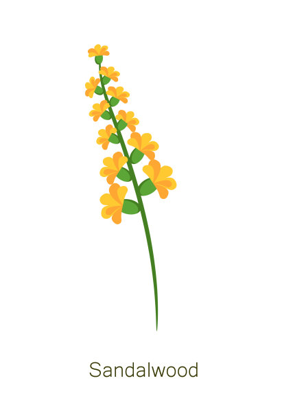 带有标题的檀香海报图片下载