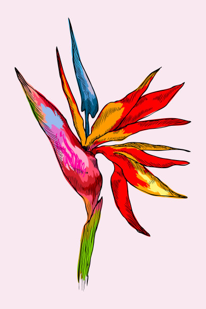 图案丰富多彩，奇异奇异图片下载