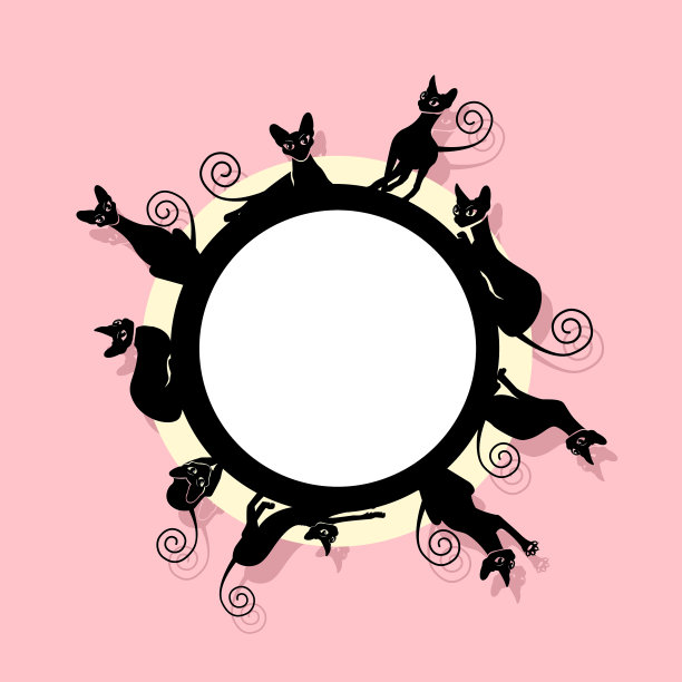 黑猫框架图片下载