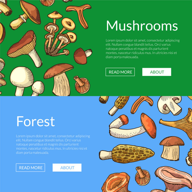 手绘蘑菇水平横幅图片下载