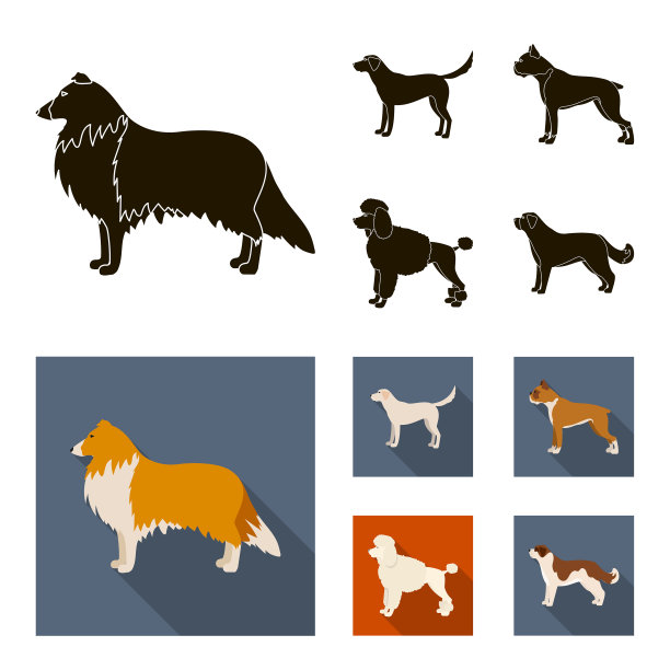 柯利、拉布拉多、拳击、狮子狗品种设置图片下载