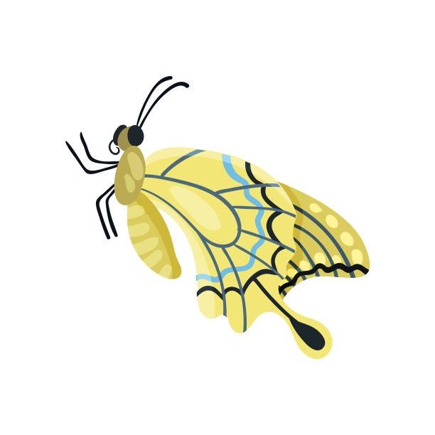 美丽的蝴蝶虫图片下载