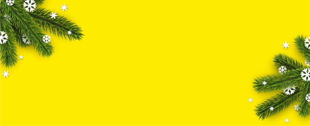 黄色的冬旗，云杉枝图片下载