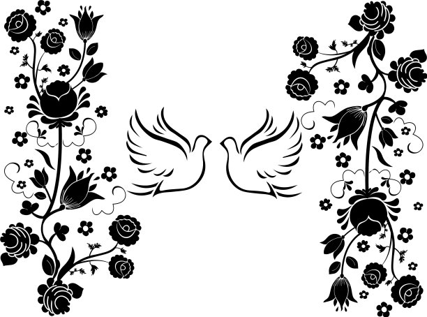 羽毛繁盛的鸽子图片下载