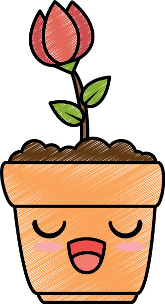 玫瑰室内植物在盆栽卡哇伊性格图片下载