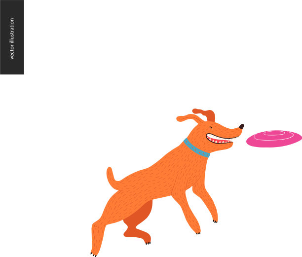 公园里的狗图片下载