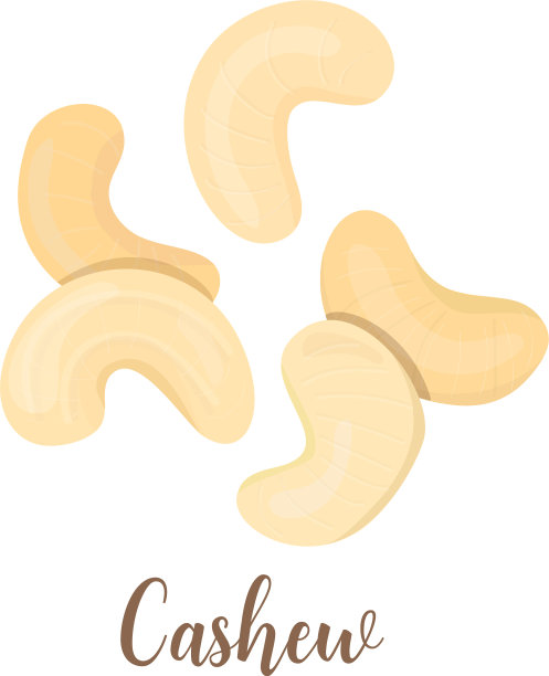 一组腰果孤立在白色图片下载