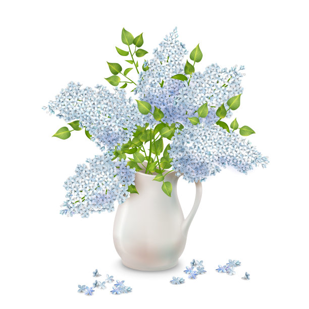 淡紫色的花瓶图片下载