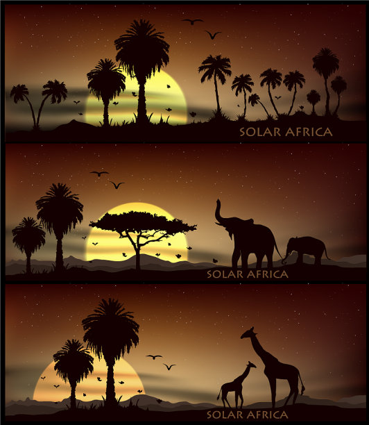 非洲动物横幅为facebook海报图片下载